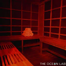 The Ocean Lab