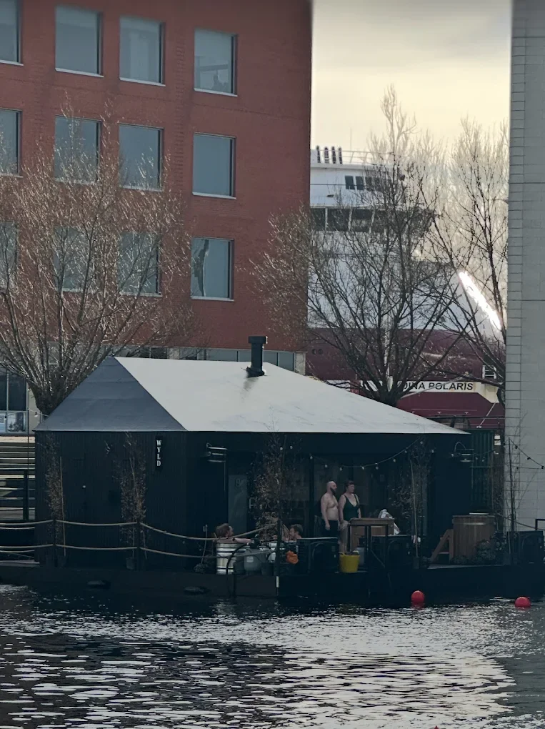 Wyld Sauna - Image 3